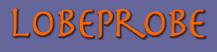 LobeProbe